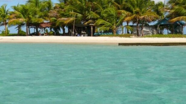 A beach with clear turquoise water, white sand, and palm trees. - Maison Oneway, Piscine Privée, Jardin Tropical. 8p (Sainte-Rose)