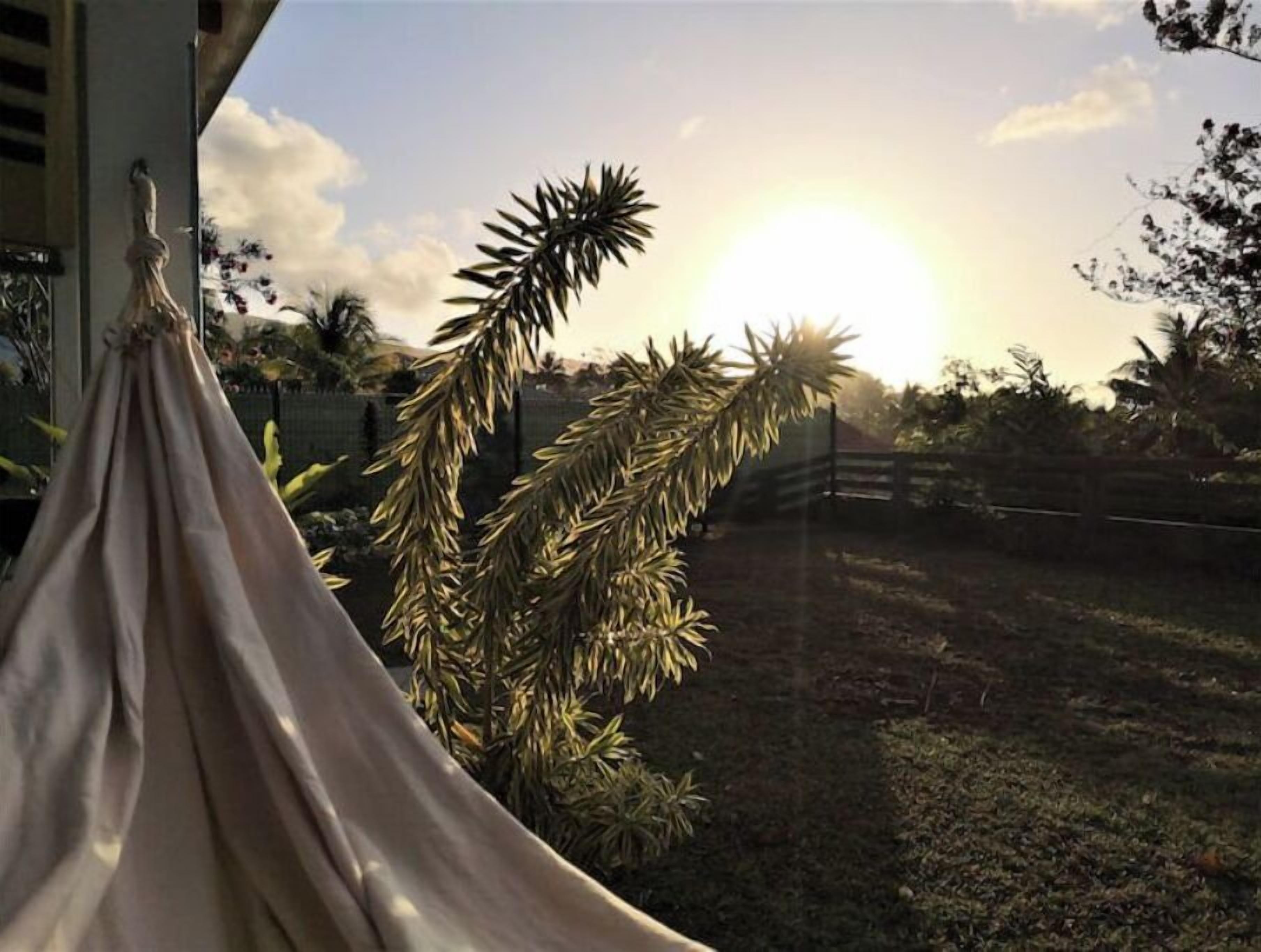 A hammock hanging outside a building with a view of the sun setting behind palm trees.