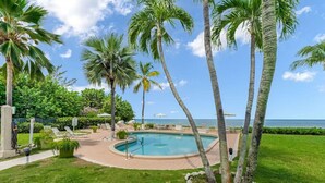A pool surrounded by palm trees and a view of the ocean.