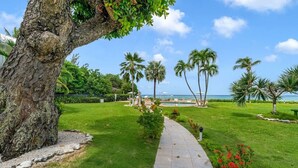 A well-maintained garden with a pathway leading to a pool area, surrounded by palm trees and a view of the ocean.
