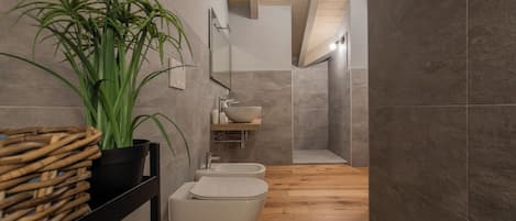 Departamento básico | Baño | Regadera, secadora de cabello, bidet, toallas