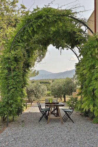 Olives and Vines all Season Villa