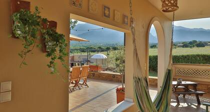 Olives and Vines all Season Villa