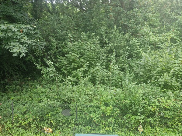 Departamento | Baño | Regadera y toallas 