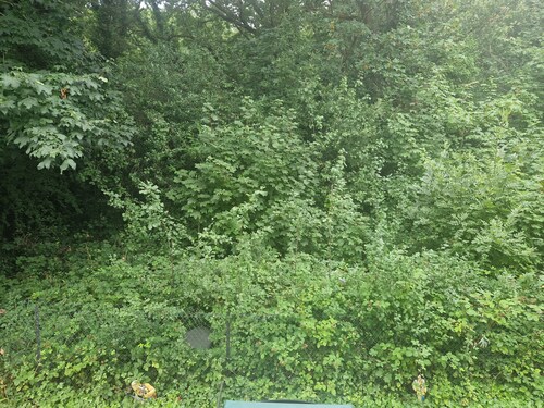 Immaculate 1-bed Apartment in Woodford Green