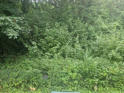 Immaculate 1-bed Apartment in Woodford Green