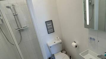 A bathroom with a glass-enclosed shower, a toilet, and a sink with a mirror above it.