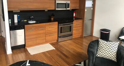 Clean 1 bedroom condo in heart of Montreal