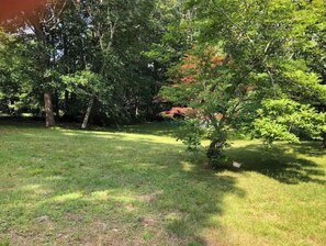 Property grounds - Spring/Summer Special (Shelter Island)