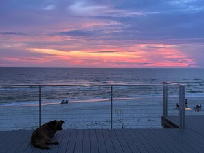 Una playa con una pasarela de madera, un perro y un atardecer sobre el océano.