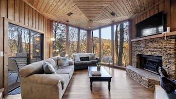 Smart TV, chimenea, reproductor de DVD y libros