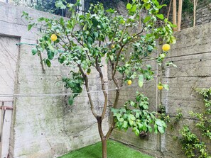 Garden - Lemon Tree Resort - FreeParking (Genoa)