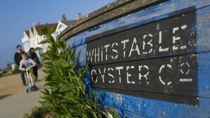 Whitstable Oyster Co -kyltti, jonka taustana on maalaishenkinen puupinta ja jonka kirjaimet ovat valkoisia.