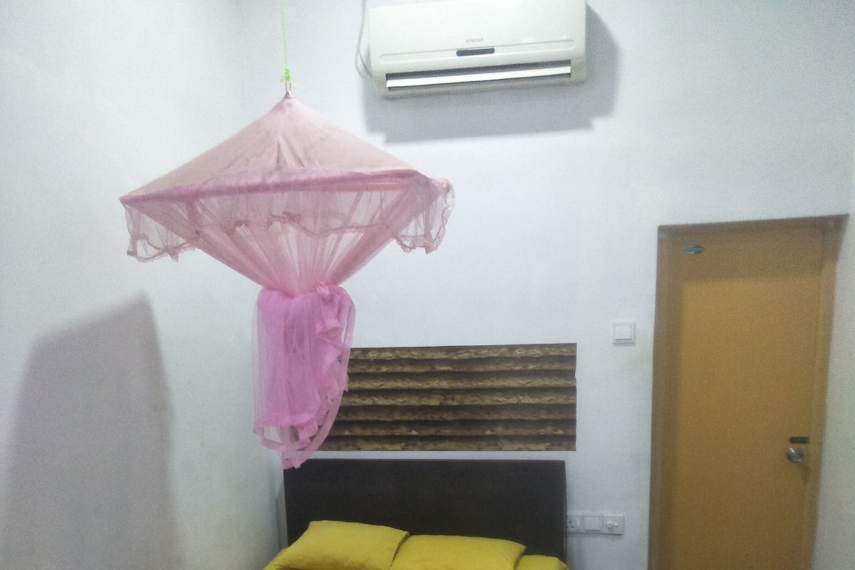 A room with a bed, a mosquito net, an air conditioner, and a door.