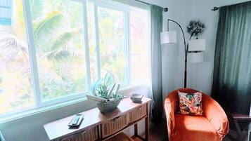 Téléviseur connecté, livres