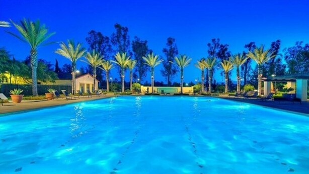Ein Swimmingpool mit klarem, blauem Wasser, umgeben von Palmen und Liegestühlen.