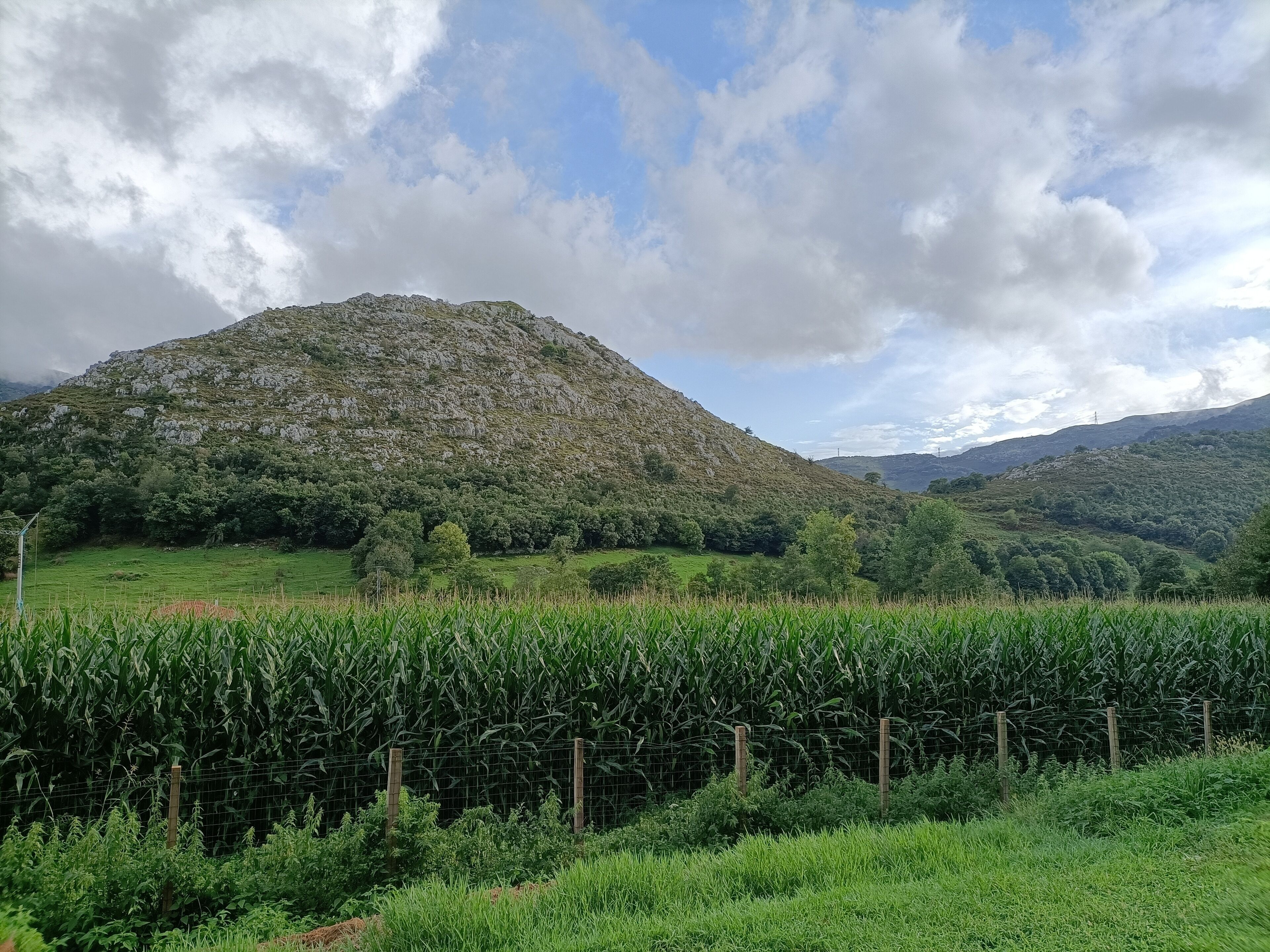 Eine gebirgige Landschaft, im Vordergrund ein Maisfeld, mit blauem Himmel.