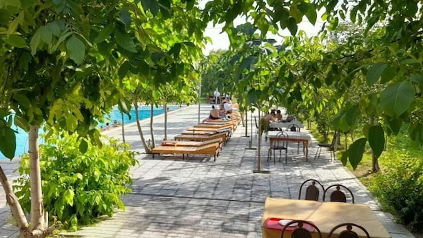 A poolside area with lounge chairs and tables under a canopy of trees. - Green Apple Hotel (Tashkent)