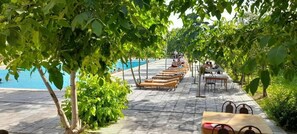 A poolside area with lounge chairs and tables under a canopy of trees. - Green Apple Hotel (Tashkent)