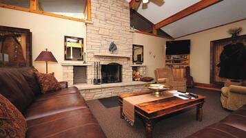 TV connectée, cheminée, lecteur de DVD, livres