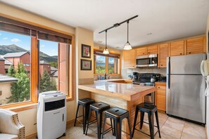 Fridge, microwave, oven, stovetop - Stunning Summer Studio with AC & Parking :Breckenridge Getaway (Breckenridge)