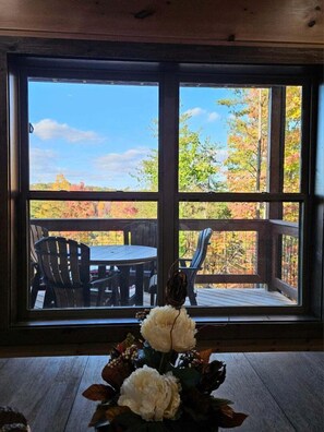 Interior - Bearly Behaving (Sevierville)