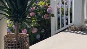 A covered outdoor area with a concrete floor, a woven basket, and a plant. - Delightful & Modern seaside escape/Handicap Access (New London)