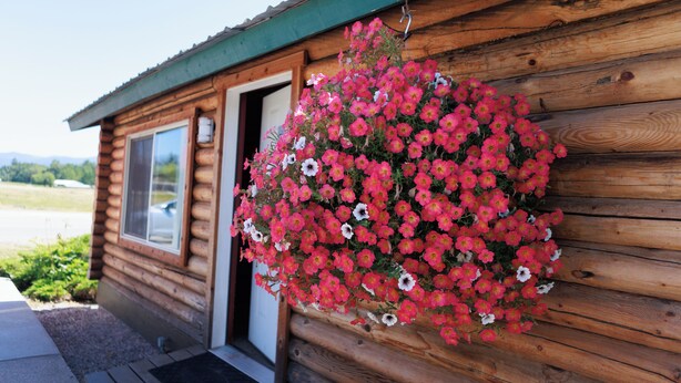 A wooden cabin with a hanging flower basket. - Big Medicine Cabins (St. Ignatius)