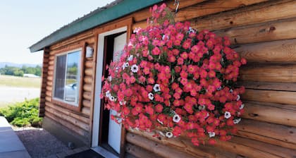 Big Medicine Cabins