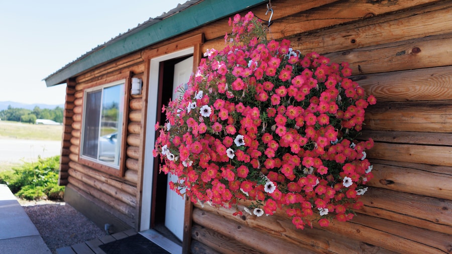 Big Medicine Cabins