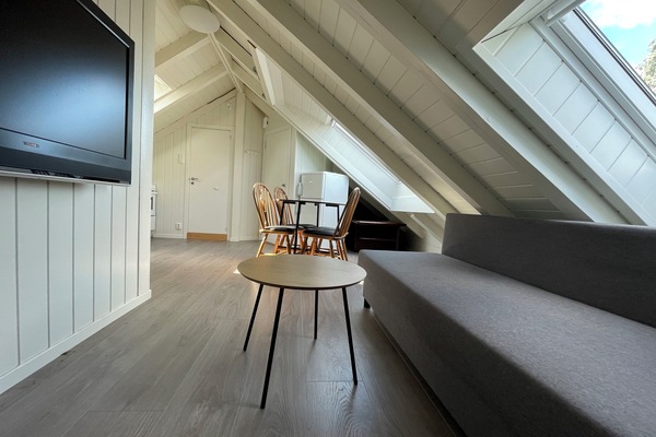 Apartment, 1 Bedroom, Smoking, City View | Living area