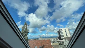 Vista desde la propiedad