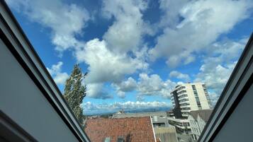 Departamento, 1 habitación, para fumadores, vista a la ciudad | Vista desde la propiedad