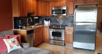 Lake View Condo across from the Public Park and Beach, Downtown Chelan!