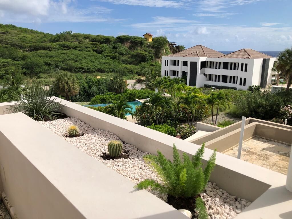 المنطقة المحيطة بالمنشأة