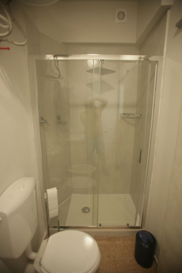 A bathroom with a toilet, a glass-enclosed shower, and a trash bin.
