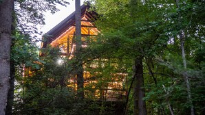 Une zone boisée comprenant une structure en forme de cabane en bois.