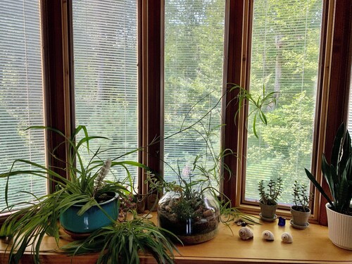 Down the road from Bayview Beach on Ferry Rd! Bright, and newly furnished 2 BR.