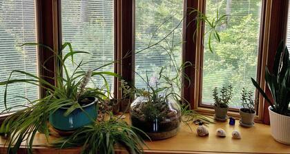 Down the road from Bayview Beach on Ferry Rd! Bright, and newly furnished 2 BR.