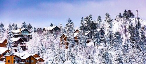 Winter Escape! Super Clean Mid-Century Cabin, Village, Hot Tub, Tubing, Ski!