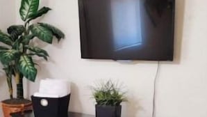 Ein Zimmer mit einem dunklen Holzschrank, einem Wand-Fernseher und einem Blumentopf.