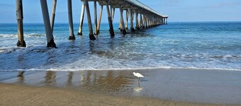A Magical Home w Amazing Sunsets in Hermosa Beach.