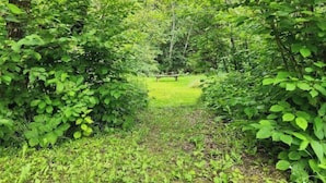 Una zona boscosa amb un camí herbaci que condueix a una panxa de fort.
