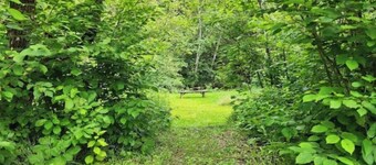 Little House by the Brook