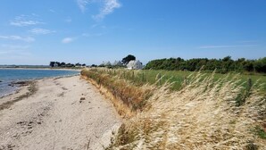 A beach with a sandy shore, a grassy dune, and a row of houses in the background. - L'avocette - Damgan - Gîte (DAMGAN)