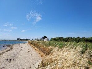 Nära stranden