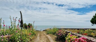 L'avocette - Damgan - Gîte