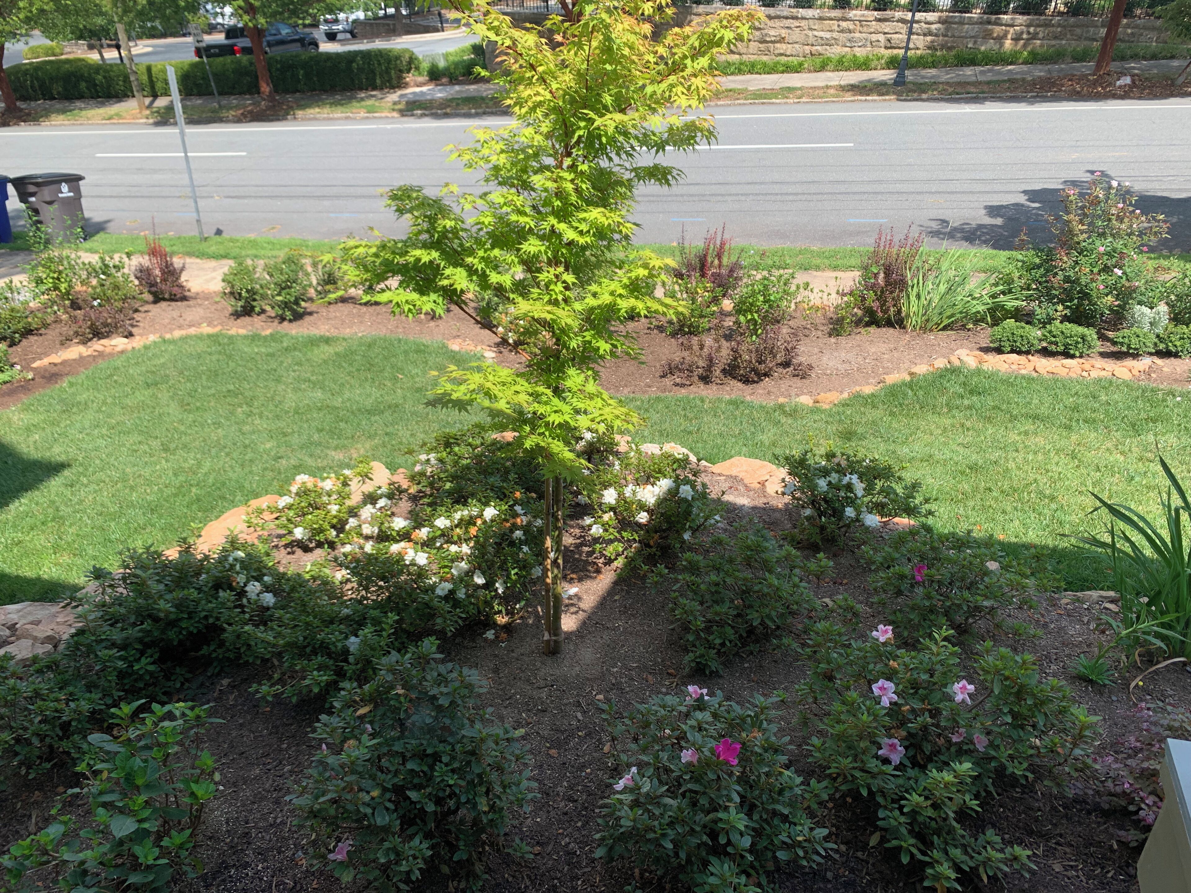 Garden view