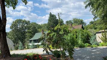 A garden with various plants and flowers, a tree, and a house in the background.