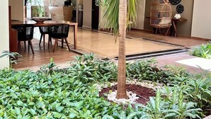 A modern interior with a dining area, a central palm tree, and a decorative wall. - Departamento con Jacuzzi en Playa del Carmen  (Playa del Carmen)